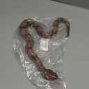 Rubber Snakes Fake Snake Rattlesnake - Realistic Keep Birds Away - Prank Life Size Toy That Look Real - Garden Plastic Scare Birds - Christmas Toys