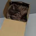 Bedsure GentleSoft Fleece Throw XL Blanket Brown - 300GSM Soft Lightweight Plush Cozy Blankets for Bed, Sofa, Couch, Travel, Camping, 50x70 inches