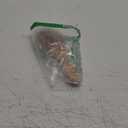 Bamboo Brush for Hair Growth — Natural Bristle Brush for Detangling, Reduces Breakage, Massaging Scalp Thick/Thin/Curly/Dry/Wet Hair — Wooden Paddle brush w/Ergonomic Handle Ideal for Women & Men