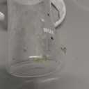 NUK Learner Cup 6+ Months Timeless Collection 10 Oz BPA Free Spill Proof Sippy Cup 2 Count