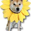 ComfyCamper Sunflower Dog Costume for Small Medium Large Dog Puppy Puppies Cat Kitten  Cute Head Flower Headband Outfits  Collar Cone Costume Hat Sombrero Outfit Pet Cosplay Halloween (Small)