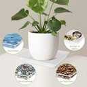 6 Pack 12 Inch Square Plant Saucer, Clear Durable Thick Plant Pot Dish for Flower Pot, Plastic Plant Tray to Catch Water for Indoor Outdoor