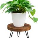 Plant Stand, Indoor/Outdoor Wooden Plant Stands, Mid-Century Plant Table Round Plant Stool for Large Plants , Single Plant Stand for Living Room, Balcony, Office