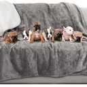 Waterproof Pet Blanket - 60x70-inch Reversible Throw Protects Couch, Car, Bed from Spills, Stains, and Fur - Dog and Cat Blankets by Petmaker (Gray) (X-Large)