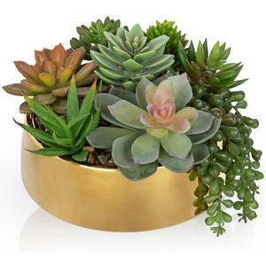 DILATATA Artificial Succulent Plants in Pot 5.5 Inch Fake Succulents Arrangement Potted Plant in Gold Ceramic Planter Bowl for Home Office Desk Shelf Living Room Bedroom Bathroom Decor