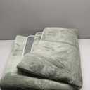 Green Plush Area Rug 47 in x 68 in