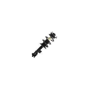 Front Struts w/Coil Spring (Pair)