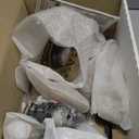 Delta Faucet Ashlyn 17 Series Dual-Function Shower Trim Kit with 2-Spray Touch-Clean In2ition 2-in-1 Hand Held Shower Head with Hose, Stainless T17264-SS-I (Valve Not Included)