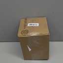 RIFLE PAPER CO. Beetles & Bugs Porcelain Vase for Room and Home Decor, Brighten Up a Living Room, Kitchen Table, or Farmhouse, Large Vase for Tabletop Centerpieces or Bookshelves