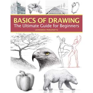 Basics of Drawing: The Ultimate Guide for Beginners