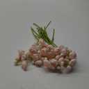 Floroom Ranunculus Artificial Flowers 18 Pcs Blush Faux Silk Mini Ranunculus Bulk Fake Wedding Filler Flowers for DIY Pink Bouquets, Centerpieces, Bridal Shower Decorations & Arrangements