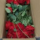 InnoGear 50 Pcs Red Roses Artificial Flowers, Fake Velvet Silk Rose Bulk Faux Flower for Mother's Gift Decoration DIY Wedding Centerpieces Proposal Bridal Bouquets Party Floral Decor (50, Red)