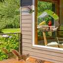 Clear Window Bird Feeder with 4 Strong Suction Cups & Decorative Lawn Top - Ideal for Garden/Yard Decor, Elderly & Kids Bird Watching, Unique Gift for Nature Lovers (Transparent&Green)