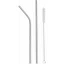 Stainless Steel Metal Straw Set of 2 and Brush