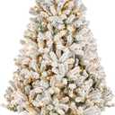 National Tree Company 6 ft Pre-Lit Flocked Acacia Artificial Christmas Tree, 300 Clear Lights, 840 Branch Tips, Includes Stand, Green