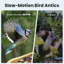 Birdfy Smart Bird Feeder with Camera for Rookie, Camera Bird Feeder Dual Night Vision, AI Recognition IP66 Waterproof for BirdLovers, 1.3L Capacity