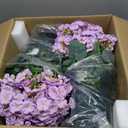 Artificial Handmade Geraniums with Flowers Scent 2 Pots Pink White Purple Lavender Lifelike Faux Geraniums Bushes Fake Flowers for Wedding Party Home Office Indoor Outdoor Plants Decor