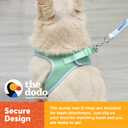 The Dodo Green Dog Harness, Size Small; Easy Step-in Harness for Dogs; Breathable Mesh Fabric; Snap-Together, Pinch Release Buckle, Ring for Leash Attachment; Everyday Pet Apparel