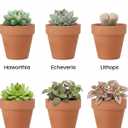 Riseuvo 32pcs 2" Small Mini Terracotta & Clay Pot Planter - Cactus Flower Nursery Terra Cotta Pots with Drainage, Perfect for Indoor/Outdoor Plants, Crafts