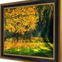 16x20 Picture Frame for 16 x 20 Poster/Photo/Print, Shatter-Resistant Real Glass Wall Display (Black and Ornate Gold Design, 1-Pack)