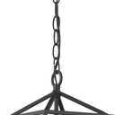 Emliviar Modern Outdoor Pendant Light, 1-Light Outdoor Hanging Lantern Light in Balck Finish with Clear Glass, 20065H BK