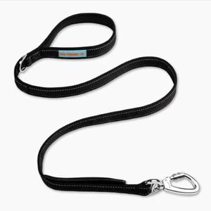Dog Friendly Co. Classic Dog Leash | Strain-Free, Shock Resistant, Prevents Jolts, Maintain Control | Durable Waterproof Material | Heavy Duty Clip & D-Ring | Black, Size Regular