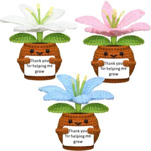 Wavwavw 3 Pcs Teacher Appreciation Gift Positive Flower Handmade Crochet Doll Thank You for Helping Me Grow Gift Teacher Appreciation Week Gifts for Women(Lily Flower)