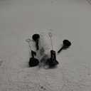 5 Pcs Music Note Balloons Photo Holders Balloon & Place Card Holder Table Centerpieces for Music Themed Party Decorations Weddings Birthdays Musical Note with Clips