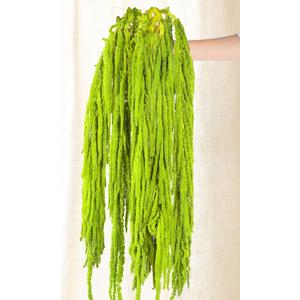 5Pcs Dried Amaranthus Hanging Flowers - 100% Natural 23 Neon Green Preserved Amaranthus Flowers for Wedding Arch, Floral Arrangment, Wall Hanging