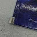 The Kissing Hand (The Kissing Hand Series)