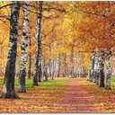 Autumn Forest Canvas Wall Art: Fall Forest Picture Golden Woods Landscape Artwork Wall Decor - Nature Tree Pictures With Pathway Prints For Living Room 36"X24"