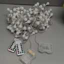 WERTIOO 2 Pack Battery Operated String Lights 33ft 100 LEDs Globe Fairy Lights with Remote Control for Outdoor/Indoor, Tent, Camping, Bedroom,Garden,Christmas Tree[8 Modes,Timer ] (Warm White)