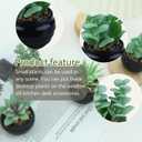 GREENTIME 6 Pcs Green Artificial Succulent Plants in Black Plastic Pots Mini Faux Succulent Plants Indoor Room Decor Aesthetic Bedroom Shelf Desk Bathroom Office Table Teacher Appreciation 