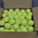 FURWEY Tennis Ball,80 Pack Training Balls,Dog Balls with Mesh Bag