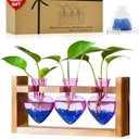 Nacome Plant Terrarium for Office Decor: Birthday Gifts for Plant Lovers Women Mom Wife - Wooden Stand Tabletop Planter 3 Bulb Glass Vase Heart Shaped for Hydroponics Indoor Home(Purple)