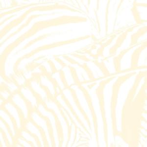 Teen Dream [2LP/1DVD]