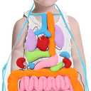 KAKIBLIN 3D Organ Apron,(Upgrade Version) Anatomy Apron Human Body Organs Awareness Educational Toy for Home Preschool Teaching Aid, Transparent