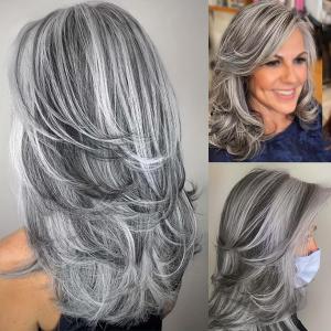 MEDISIFA Grey White Highlight Layered Wigs for Women Heat Resistant Synthetic Hair Natural Wave Womens Wigs for Women Lady Daily Used Cosplay Costume Halloween Old Lady Wigs (Ash Grey)