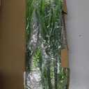 16 Bundles Artificial Plants Outdoor, UV Resistant Fake Lavender & Monkey Grass, Realistic Plastic Faux Plants for Balcony, Patio, Porch Greenery Decor, Planter Filler(White)