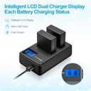2 Pack DMW-BLG10 Battery 1500mAh and Dual USB Charger for Panasonic DC-G100, DC-ZS80, DC-GX9, DC-LX100 II, DC-ZS200, DC-ZS70, DMC-GX80, DMC-GX85, DMC-ZS60, DMC-ZS100, DMC-GF6, DMC-GX7K, DMC-LX100K