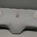 Cervical Neck Pillow for Pain Relief,Ergonomic Contour Memory Foam Pillows for Sleeping,Cooling odorless Neck Support Pillow for Side Back Stomach Sleeper,with Washable Pillowcase,Blue (Queen)