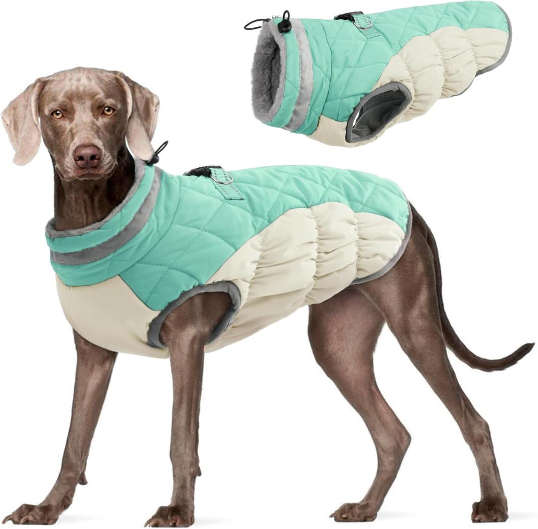 FUAMEY Dog Coat for Large Dogs,Waterproof Dog Winter Jacket with Harness Built in Puppy Cold Weather Coats Reflective Pet Vest with Zipper Warm Fleece Dogs Snowsuit Windproof Mint Green L (chest:24in)