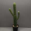 momoplant Artificial Cactus Succulent Plant, 24 Inch Tall Faux Fake Desert Cacti Plant with Black Planter for Home Garden Office Floor Decor