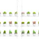 Clear Hanging Window Plant Shelves, 2-Pack 3-Tier, Indoor Windows Wall Hanging Plant Stand Flower Display, Flower Pot Organizer Storage for Window Grow Herbs, Microgreens, Succulents, Flower, 16-Inch