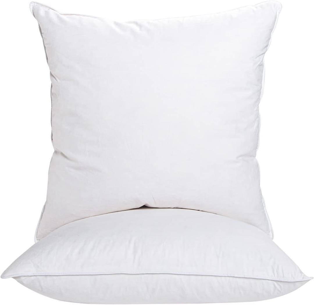 20"x20" Pillow Inserts Soft Feather Pillow Set of 2 Indoor Decorative Sofa Down Pillows Bed Pillows Couch Pillow
