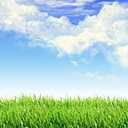 Leyiyi 6x4ft Spring Grassland Photography Background Gardening Plant Meadow Sky Cloud Light Spot North Prairie Backdrop Nature View Outdoor Activity Kids Birthday Photo Portrait Vinyl Studio Prop