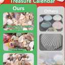 Natural Ocean Christmas Advent Calendar 2025 for Kids, 24 Days of Random Shells, Conchs, Starfish Blind Box Christmas Countdown Gift for Boys, Girls, Teens & Adults Sustainable Coastal Gift