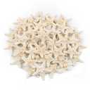 TaoQ C 48 PCS Starfish, Mini Starfish 1" to 2" Small Knobby Starfish Natural Seashells Starfish Perfect for Wedding Decor Beach Theme Party, Home Decorations, DIY Crafts, Fish Tank