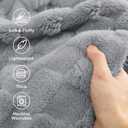 Bedsure GentleSoft Twin Blanket for Bed Silver Grey - Super Soft Cozy Blankets for Kids Girls, Cute Fuzzy Fleece Throws for Bedroom Couch, 60x80 Inches