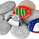 River Rocks for Painting 10 Pcs Large 2-3 Inch Flat Smooth Painting Stones Craft Rock to Paint for Kids Crafts Painting Bulk